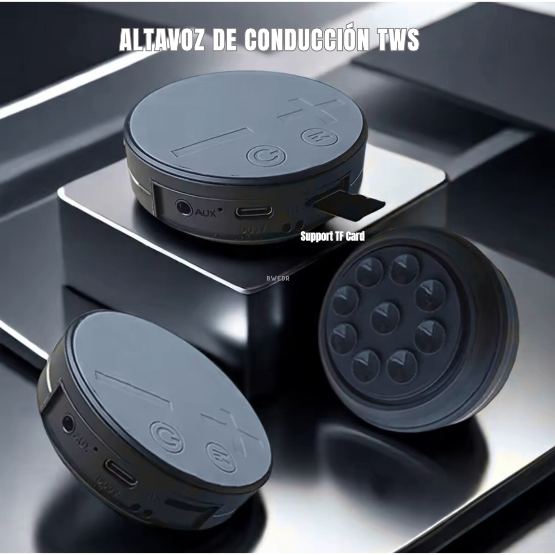 ALTAVOZ DE CONDUCCION